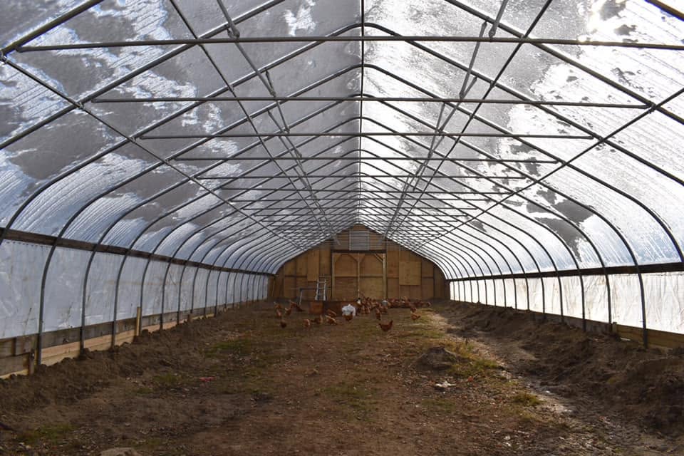 RPierceWriter's tweet photo. Throwback Thursday to the time in 2019 we decided we should purchase, disassemble, and reassemble an entire 30x96 hoop barn ourselves. 😬

When we first started the farm, we scraped by with smaller homemade barns and huts for farrowing and lambing. But once we started to expand, we had to build out, and a stick-built barn of this size just was not in the budget (still isn’t). 

Luckily, some friends of ours were getting out of the greenhouse business and sold one of their old hoophouses to us at a great price, provided that we take it down and move it ourselves. 

About five months of work later (some of the progression is evident in these photos), and we had a structure that has gotten ample use ever since, first for our small flock of Icelandics and laying hens (and an ill-fated experiment in growing tomatoes, more on that another day), and now as a dedicated lambing barn for roughly half of our ewes. 

The ewes come home from solar grazing in the fall and spend the winter here, with additional access to fenced-in pasture on the home farm. They lamb in the barn (which stays nice and warm despite not being heated) and then head back out to graze in late April.