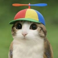markochud's tweet photo. yo chinese X , i wasn't familiar with your game https://t.co/ZKBZjy840R