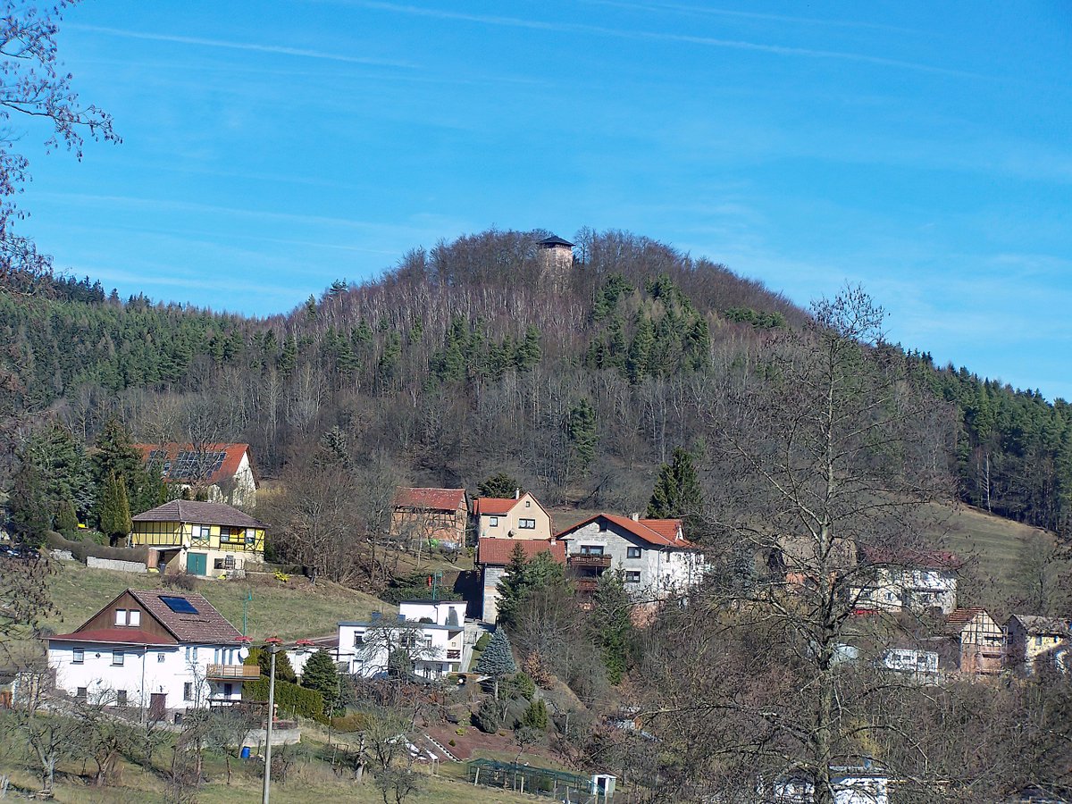 PygoscelisSpec's tweet photo. Helmers, Thüringen https://t.co/x24gLwuQJV
