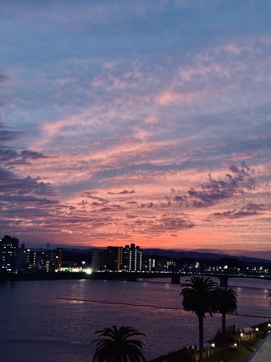 yoko223's tweet photo. 今日の宮崎の大淀川の美しい夕焼け
ワシントニアパーム🌴のシルエットが織りなすノスタルジックな美しさ✨️ https://t.co/XDeDhZ5cij