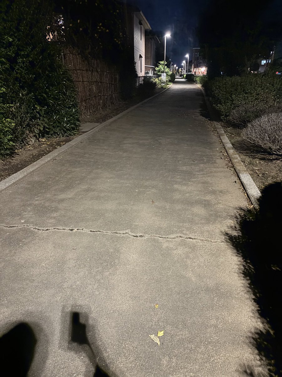 puruyu64's tweet photo. 急いで帰ってきて飯作ってからの犬散歩🐶
忙しい_(┐「ε:)_ｲｿｶﾞｼｰ https://t.co/aS1yPf6HeR
