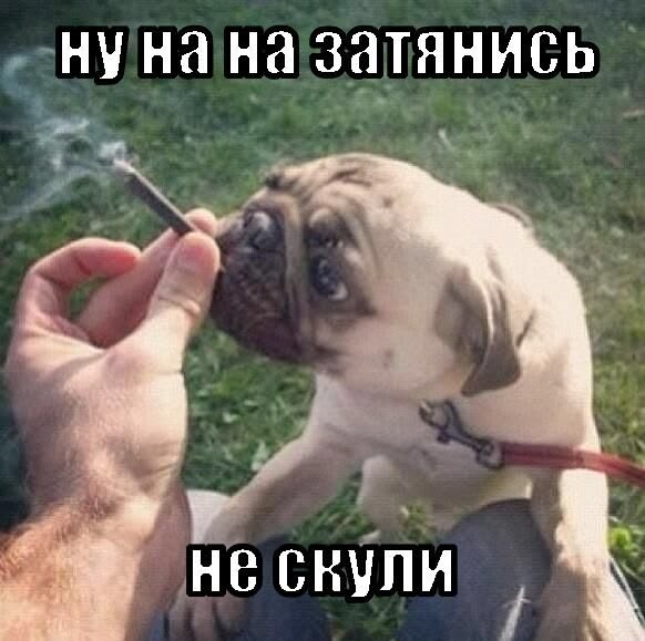 myasoj's tweet photo. https://t.co/alwJG16yld