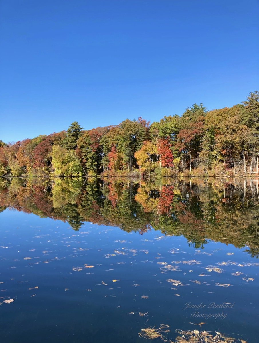 jpentlandart's tweet photo. Reflections of autumn https://t.co/LIeK15V2Na