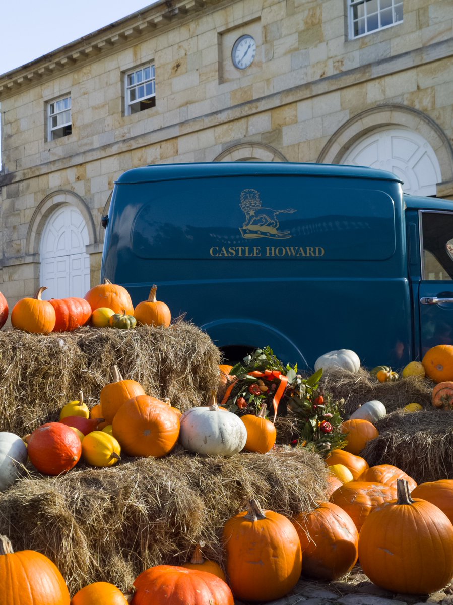 TechDepthStudio's tweet photo. Exploring autumn and celebrating Halloween at Castle Howard 🎃🍂 Captured on the Sony Xperia 1 VIII @sonyxperia @Snapdragon https://t.co/3C5uQXZIJT