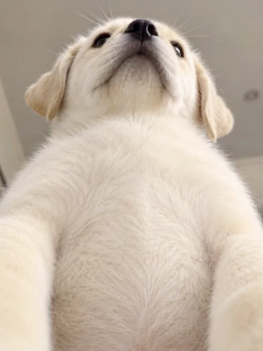 siteagaeru's tweet photo. https://t.co/DmWb6CQkb5