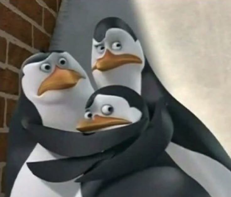 OSCAR_JGG_FC's tweet photo. น้องกวิน กวิ้น กวิ๊น เพนกวิน 🐧 🐧🐧

(( บ้าาาา!!  ตัวจริงเขายุ่งอยู่ 🤭🤭🤣 ))

#GawinCaskey https://t.co/58gEH8MeKx