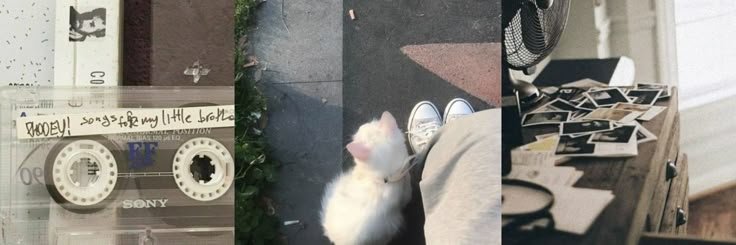 cxbled tweet picture
