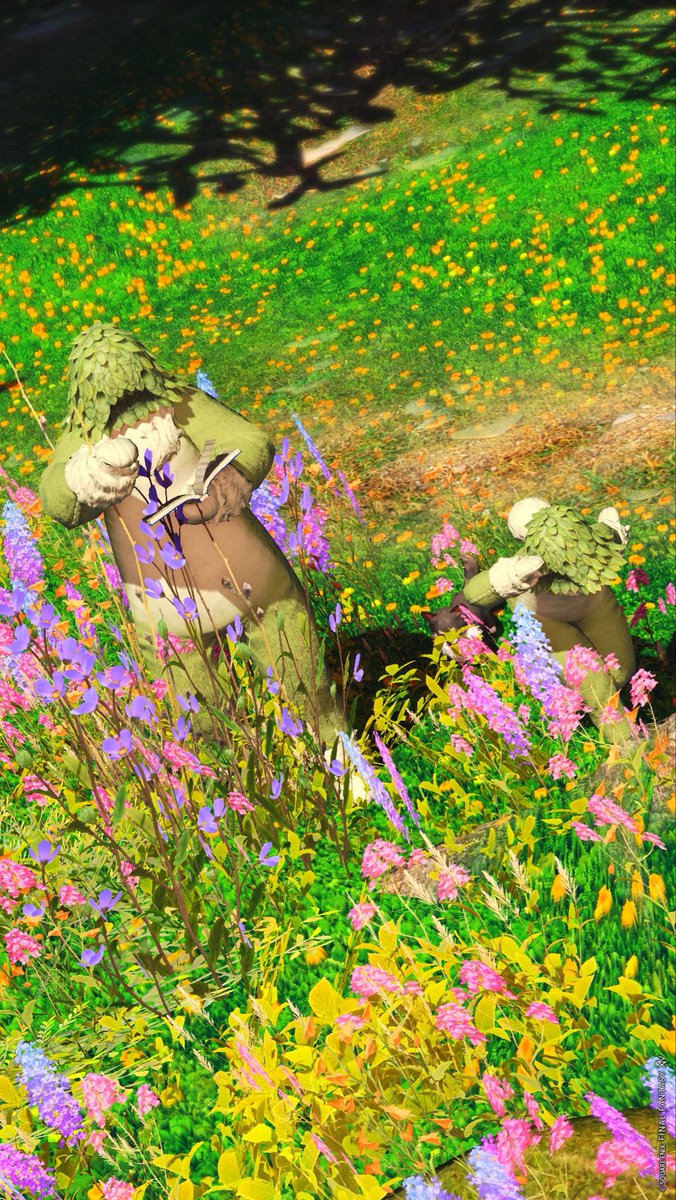 LazuliMidnight's tweet photo. くさんぽ🌱
#ぷくたい　#FF14 https://t.co/ugMSjbtzDx