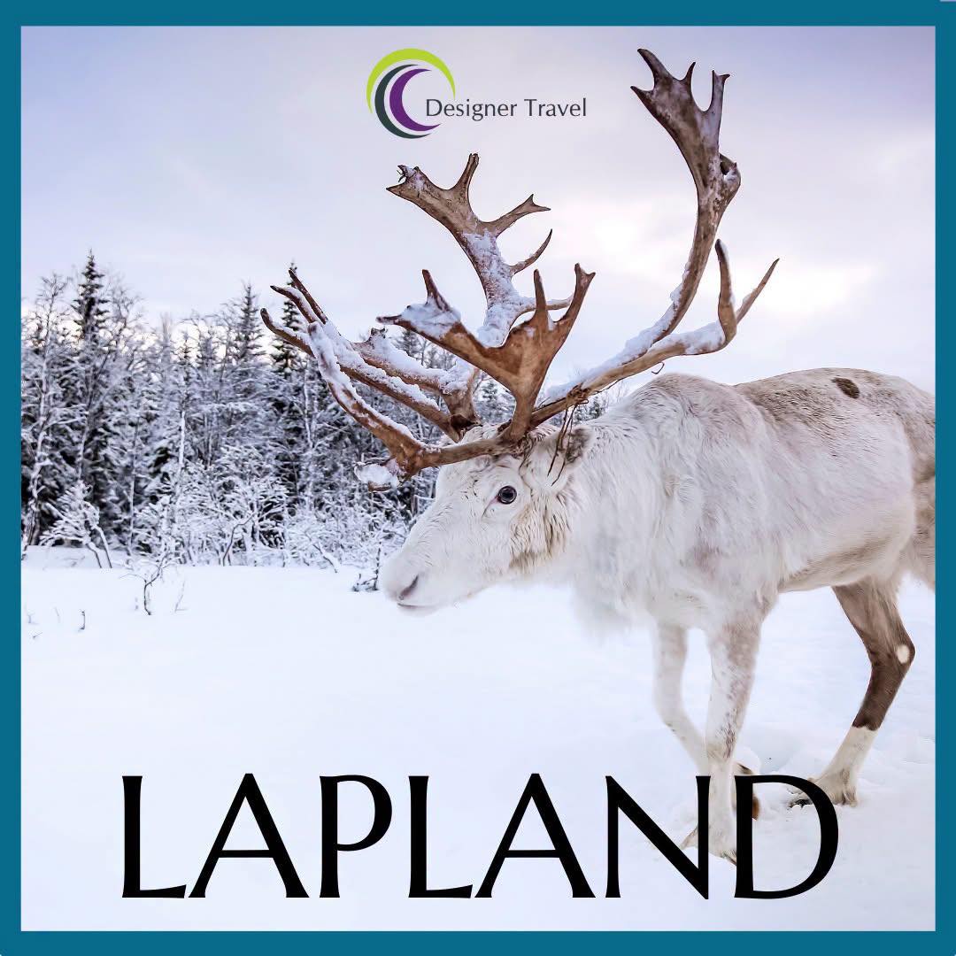 SUPAMRHAN's tweet photo. A magical Lapland day trip for a family of 4 from £2, 336 total. Enjoy husky and reindeer safaris, snowmobiling, a private Santa meeting, lunch, thermal gear and return flights. Departures from Gatwick, Birmingham and Liverpool. https://t.co/xRKC0OOL5M