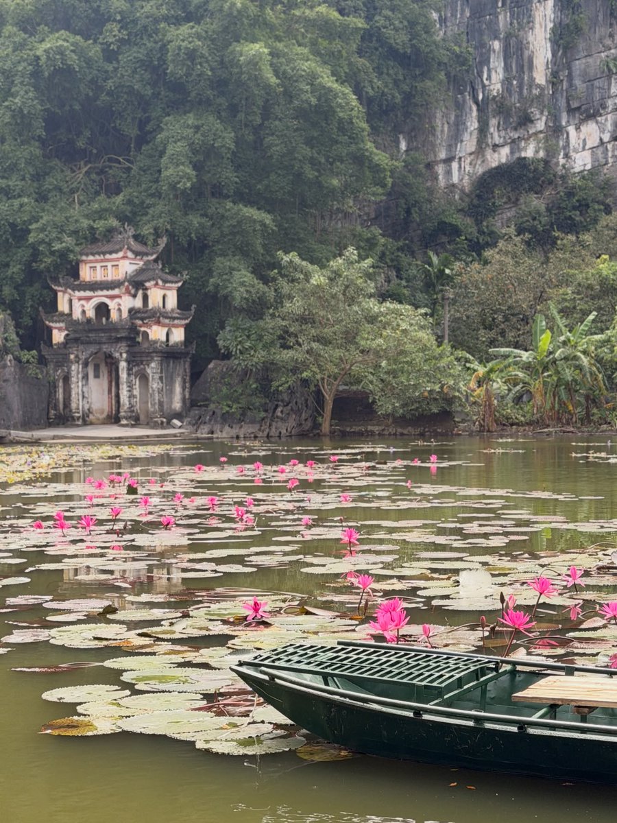 Hagavas's tweet photo. Bich Dong Pagoda, Vietnam: un templo del siglo XV escondido entre montañas kársticas y silencios sagrados. Cruzar su puerta es entrar en un refugio donde la piedra respira historia y la paz permanece intacta. https://t.co/MNtdd6it0M