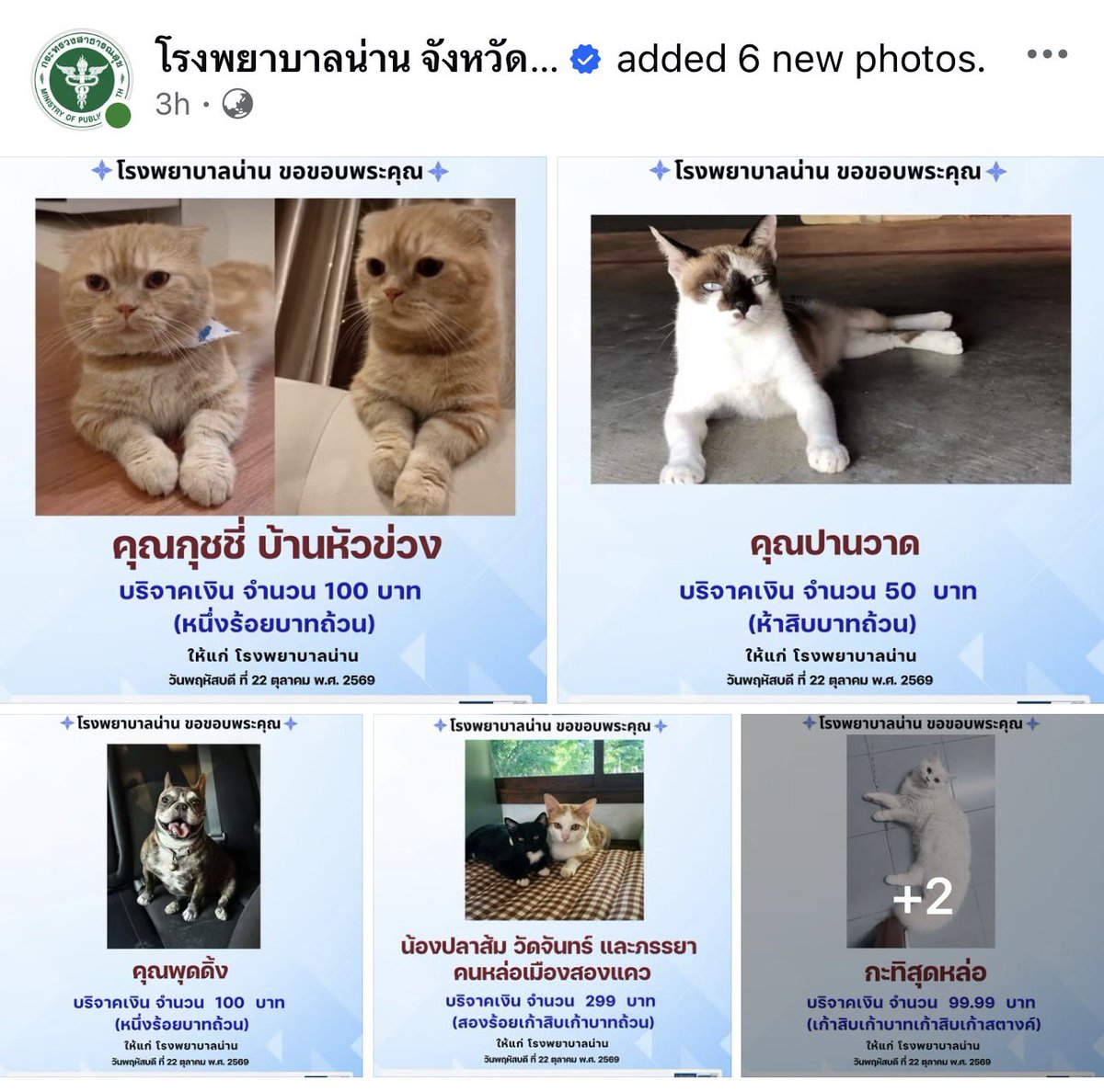 almondcanoo's tweet photo. เป็นกิมมิกที่น่ารักมาก!! 🥺
รพ. น่านทำโพสต์ขอบคุณให้กับผู้บริจาค แล้วแต่ละคนส่งแต่รูปลูกๆไป 555555555
ตอนนี้หน้าเพจมีแต่น้อง

((ดูข้อมูลการบริจาคได้ในรูปแรกเลยค่ะ)) https://t.co/r4PGNxsEBh