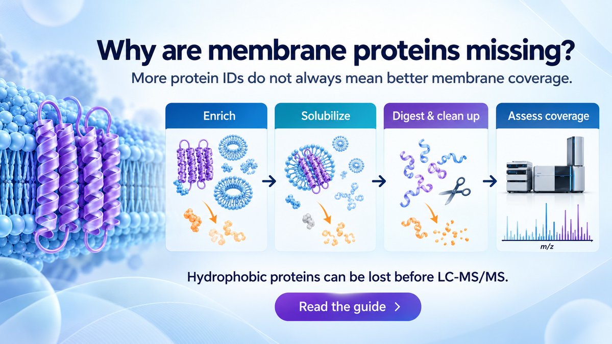 MetwareGlobal's tweet photo. Why are membrane proteins missing from your LC-MS/MS data?

The bottleneck may be extraction, detergent removal, or digestion—not the instrument.

Our new guide:
https://t.co/6LsJNXmWWK
#Proteomics #MembraneProteins https://t.co/GrqhwpxdyY