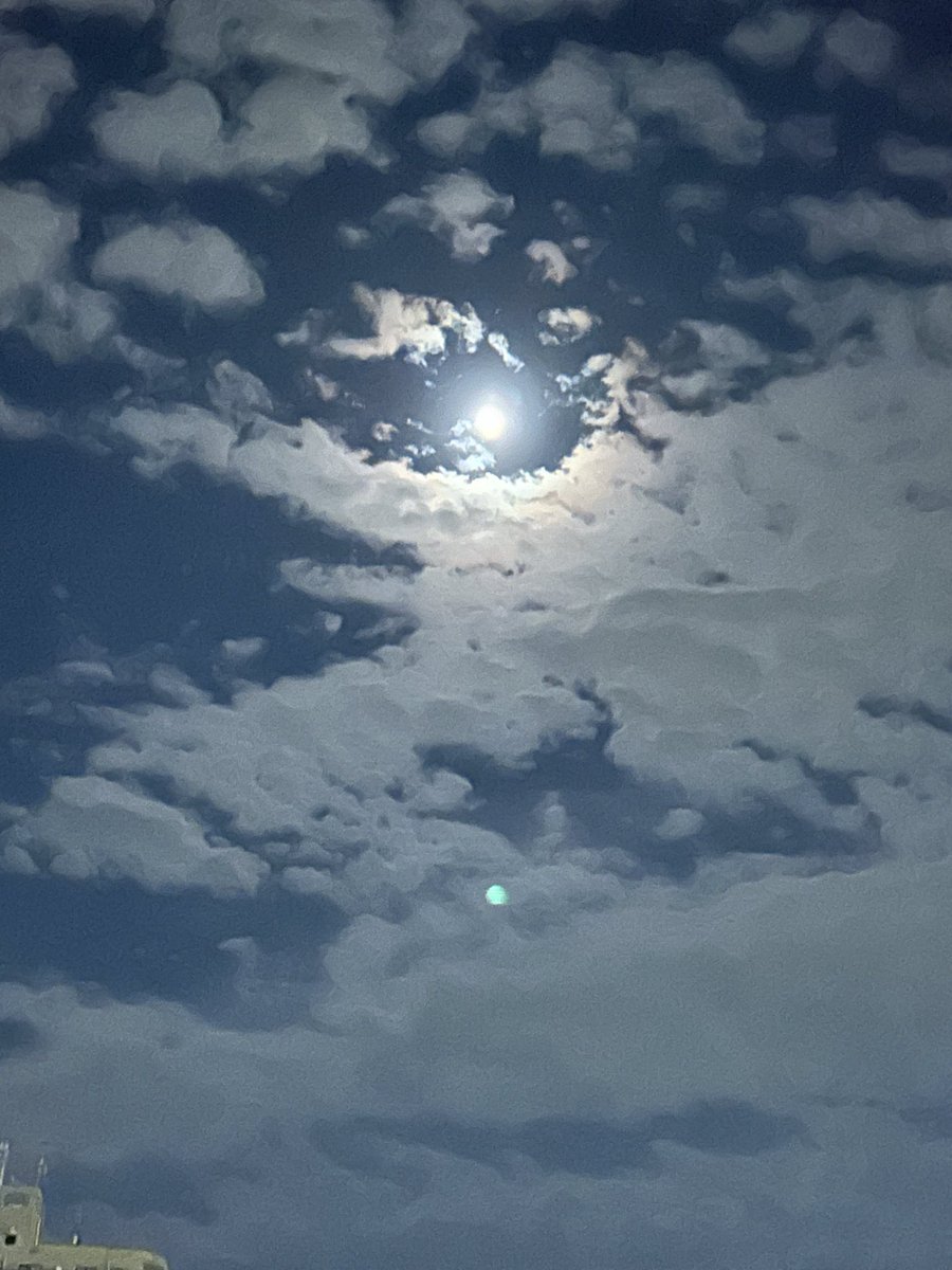 pokopoko411's tweet photo. 秋の夜空〜って感じになってきた！
涼しい😊 https://t.co/QtvG2dhtLP