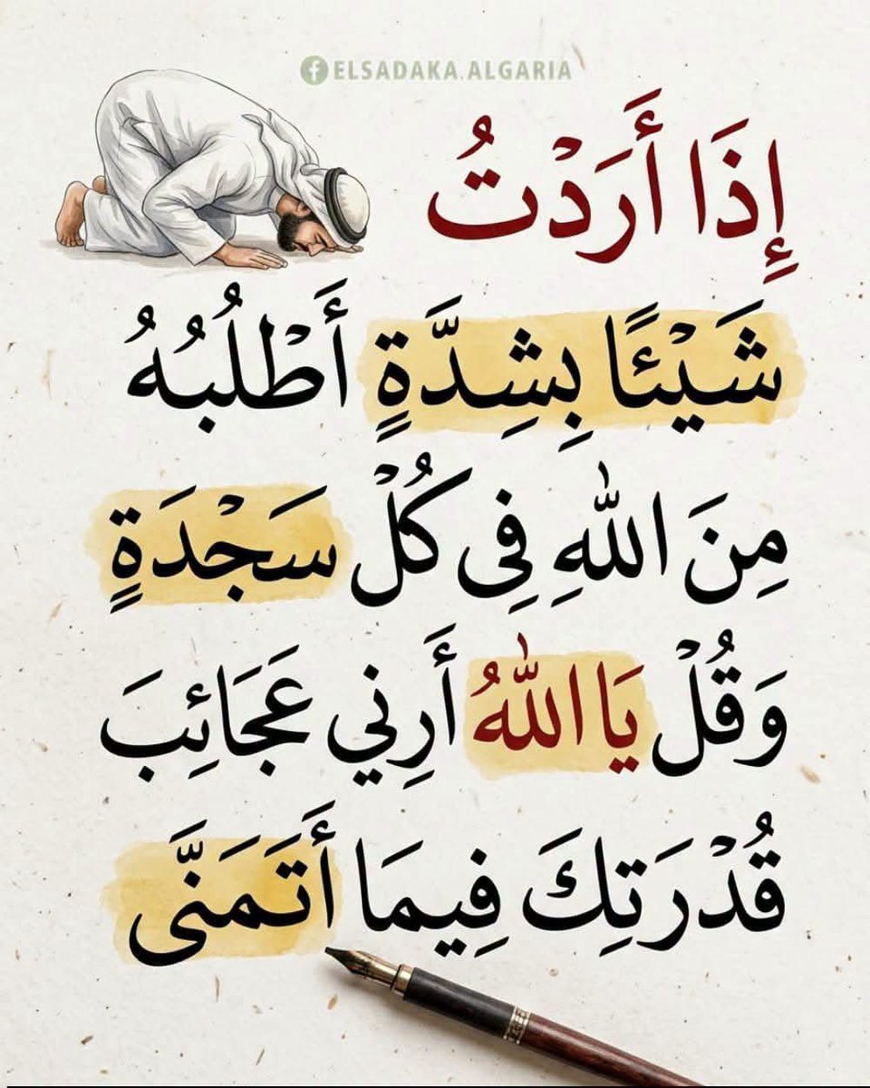 akiluno_a's tweet photo. ونعم الخالق سبحانه 🤲 https://t.co/yWKm2J6z4r