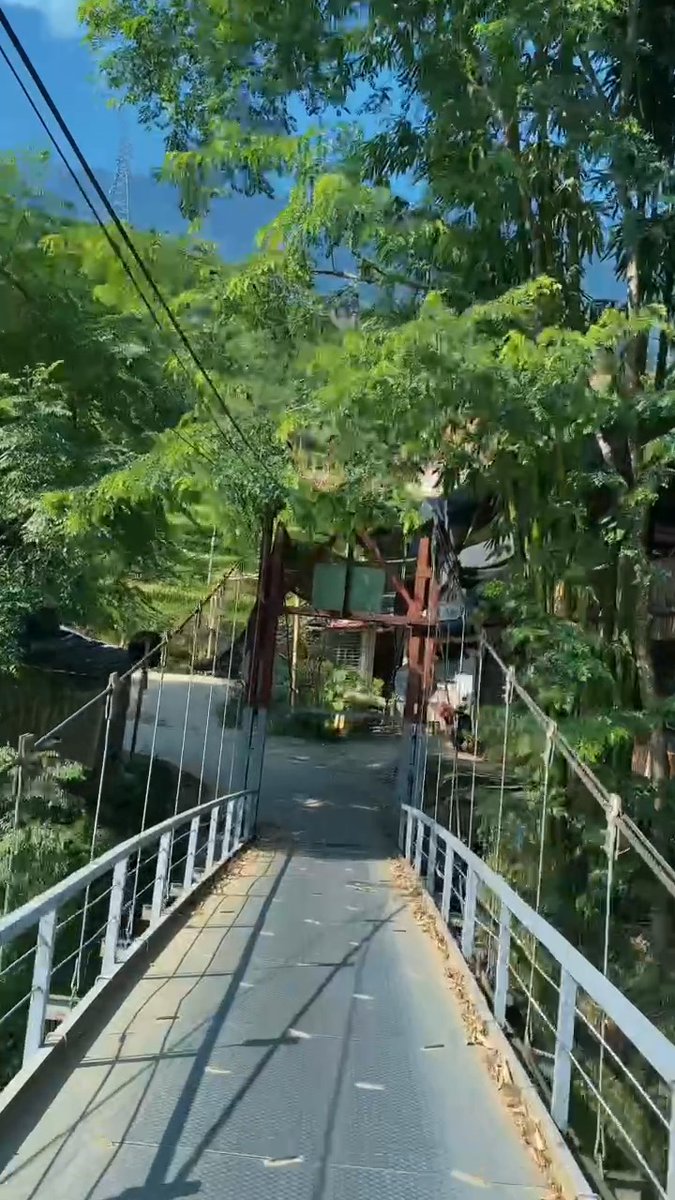 s_suly's tweet photo. Sa Pa vào mùa lúa chín, ruộng bậc thang vàng óng phủ khắp núi đồi. Không cần chờ ai rủ, hãy tự thưởng cho mình chuyến đi ngẫu hứng giữa mây ngàn và hương lúa mới. https://t.co/MbgdPsPPzV