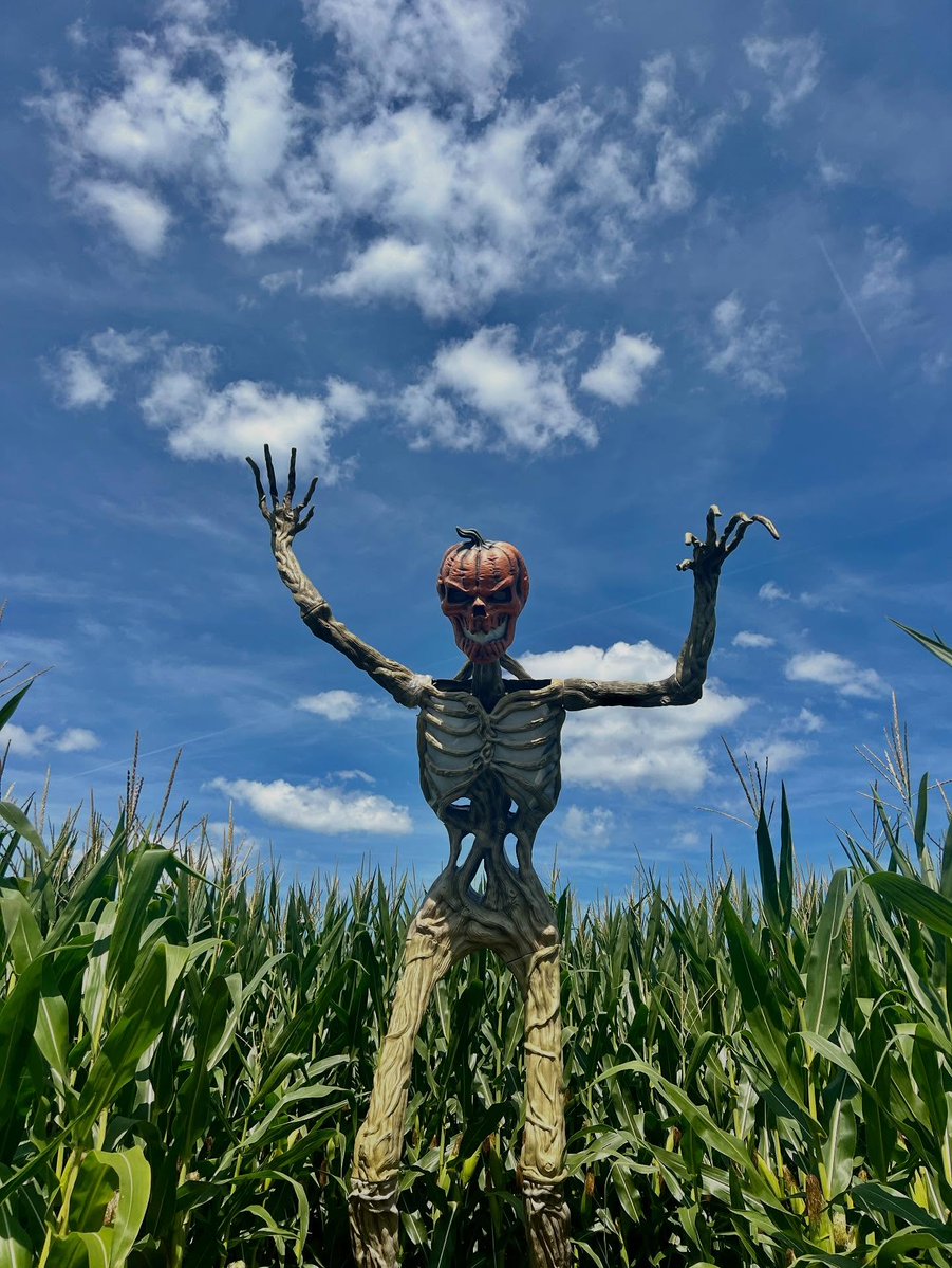 TWEPI's tweet photo. The Halloween season is officially here, and Windsor Essex is packed with ways to celebrate! Whether you’re looking for family-friendly events or full-on thrill-seeking frights, our Halloween Guide has everything organized in one place. Click https://t.co/lWwRqf7i3R. https://t.co/cpghilnvQj