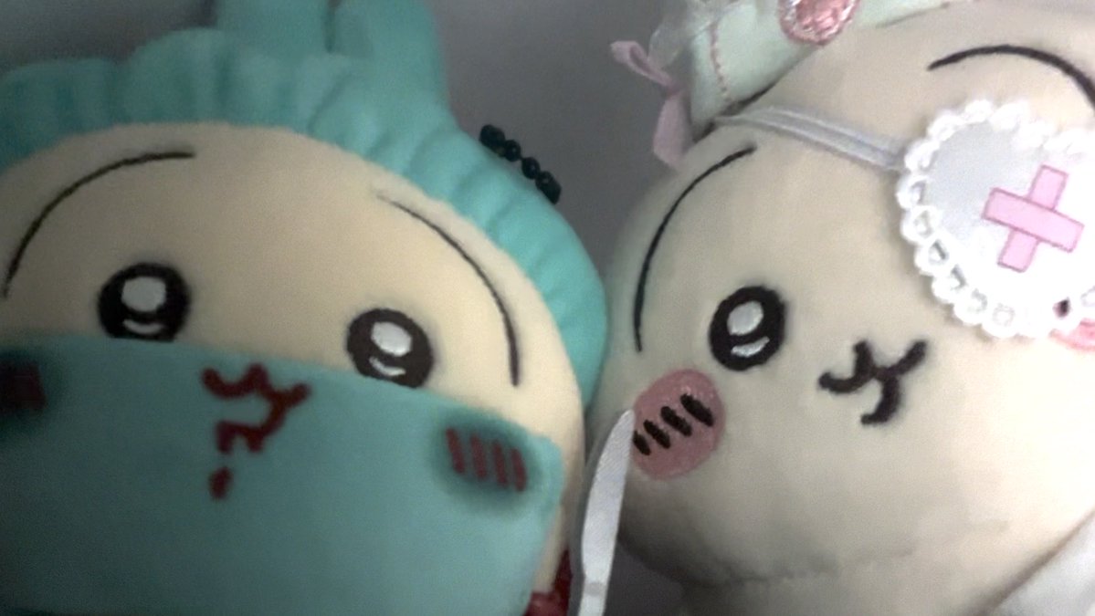 wijzoxc's tweet photo. 우사기 병원 정상영업중^^ https://t.co/MwAO7gJsJV