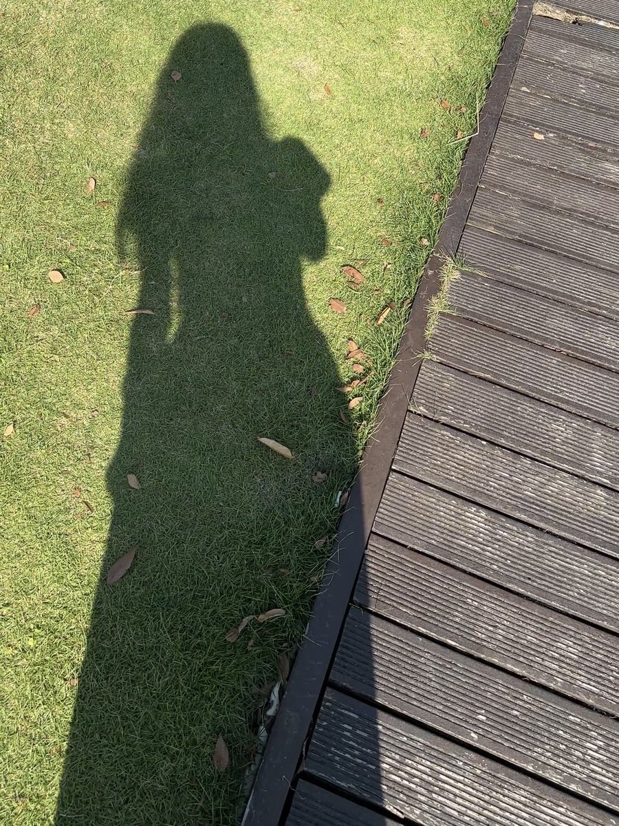 KK_liveline's tweet photo. 晒太阳🌞 https://t.co/Y9JErx2XSd