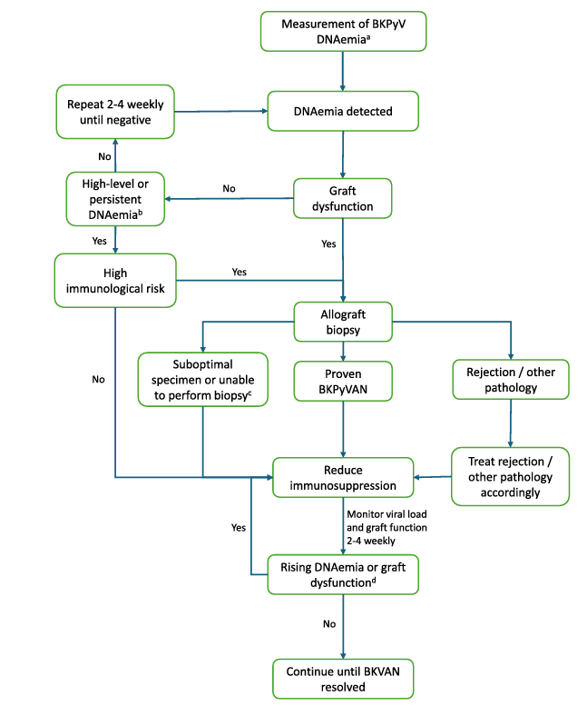 NDTsocial's tweet photo. BK Polyomavirus-associated nephropathy – diagnostic and treatment standard

https://t.co/sngqBoWH1I https://t.co/Fxv8Okanvp