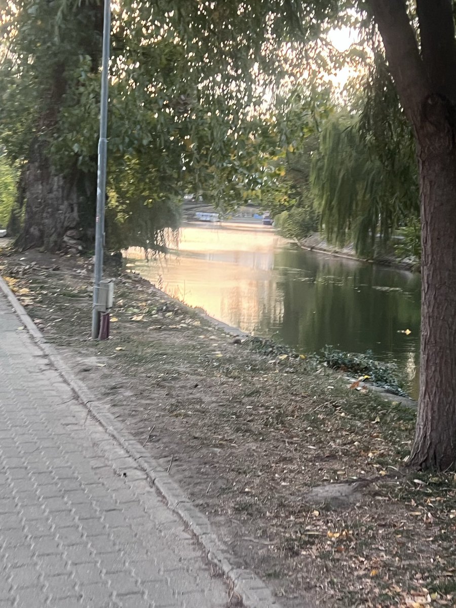 GClaudiiu's tweet photo. If you knew me, you knew and if you loved me, you would have come that evening when I wrote to you… https://t.co/do9GkuXQRe