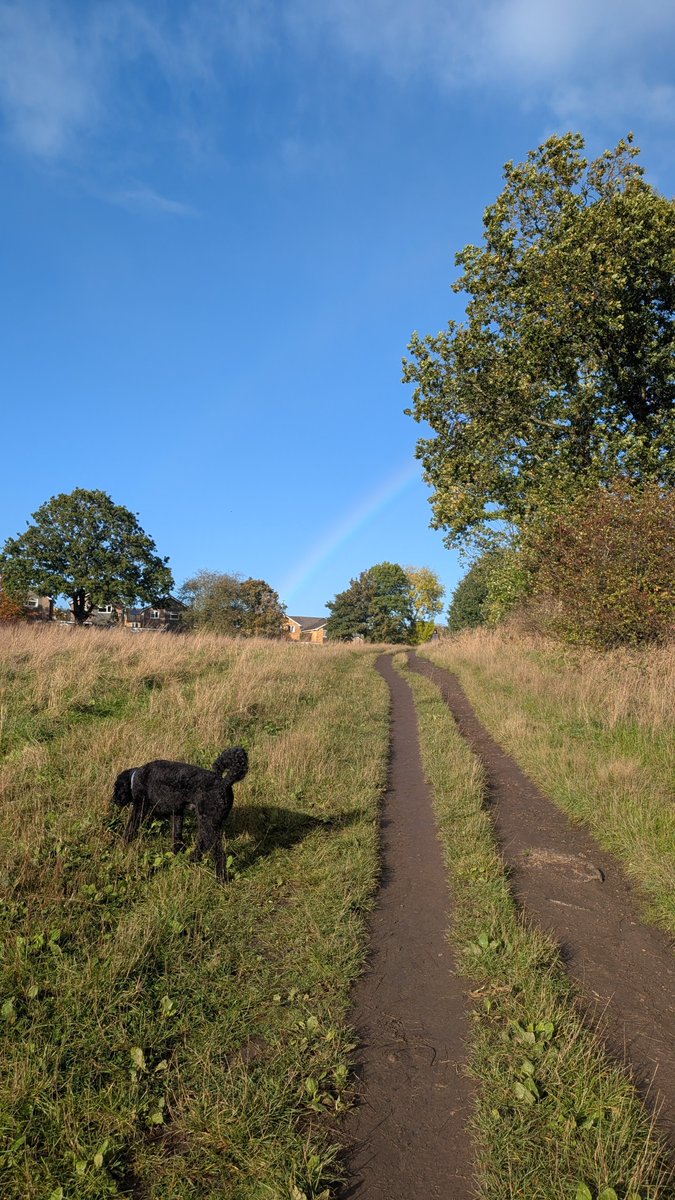 IndieGameJoe's tweet photo. Today, is going to be a good day, indies.

Keep up the great work ❤️ https://t.co/zD3cSsAl7N