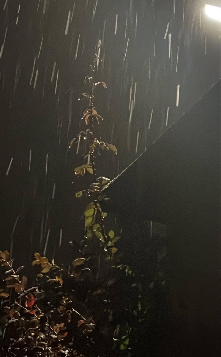 gakihi62's tweet photo. ときめきの木曜日✨️
Today最高気温8℃

今日は初雪でした
     …日中は見逃しました
18時   みぞれ☔️❄️⋆.˚      2℃ https://t.co/apKJKOlP47