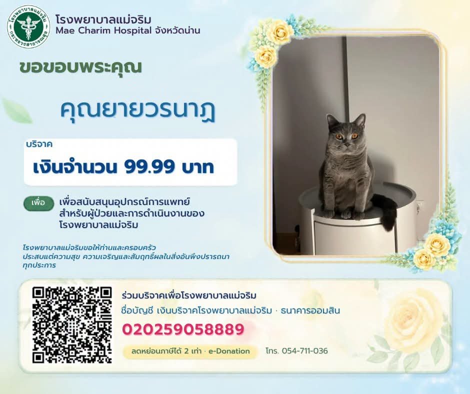 malimali's tweet photo. 5555555 https://t.co/NSah8HfZhM
