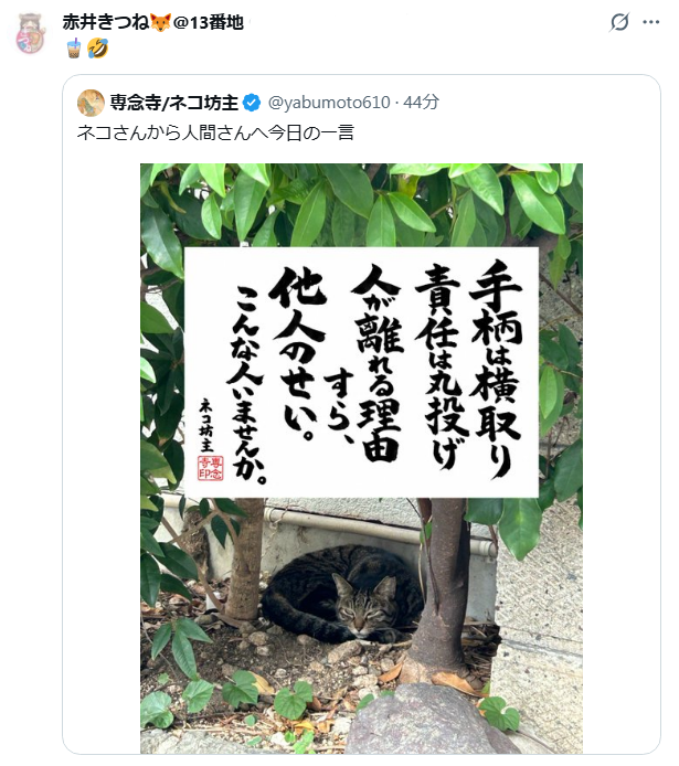 TapiocaTapi3's tweet photo. 女優さん達に
🧋 で匂わせしてるの
知られてるよ ‥‥ と教えてあげても
未だに続けるメンタル https://t.co/Vu6qd22ONi