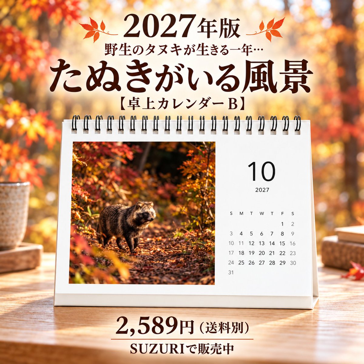 1996SF's tweet photo. 来年のカレンダーに、タヌキのいる一年はいかがでしょうか。

2027年版の卓上たぬきカレンダーを、SUZURIで販売しています。今年は「たぬきがいる暮らし」と「たぬきがいる風景」の２種類。日本の自然の中で生きる野生のタヌキたちの姿を、四季の風景とともに描きました。

親子で寄り添い、食べ物を探し、森や水辺で過ごすタヌキたち。雪の森から芽吹きの春、緑に包まれる夏、落ち葉の秋へと、ページをめくるたびに季節も移っていきます。

私たちが予定を書き込むその日にも、どこかでタヌキたちの暮らしが続いている。仕事や勉強の合間に、ふとそんなことを思い出せる一冊になれば嬉しいです。

価格は各2,589円（送料別）。ご自宅や職場に、タヌキ好きな方への贈り物にもどうぞ。本商品の売上金はすべて、野生動物の保護および傷病鳥獣保護活動に使用させていただきます。

それぞれの絵柄は、下の商品ページでご覧いただけます。来年を一緒に過ごす一冊をお選びください。

2027年版 野生のタヌキが生きる一年…たぬきがいる暮らし【卓上カレンダー A】
https://t.co/5RTLWxZqBO

2027年版 野生のタヌキが生きる一年…たぬきがいる風景【卓上カレンダー B】
https://t.co/7TuOeqB68M