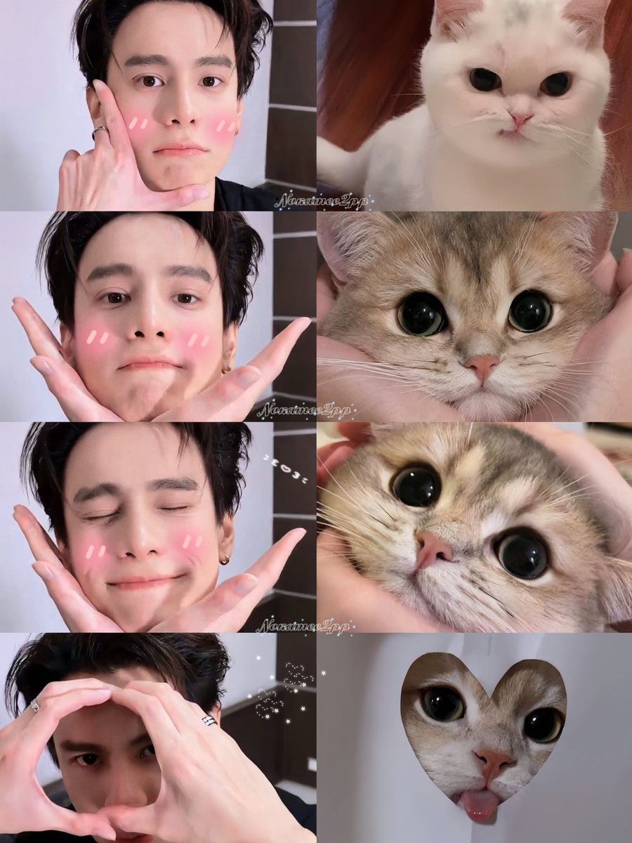 Nonamee2pp's tweet photo. "ฉำเนาเหมียวถูกต้องถูกอย่างแน้ะ"

🐈‍⬛ ྀིᓚ₍⑅^..^₎♡≽^•⩊•^≼⋆🐾°˚.🎀༘⋆

⚞ ⚟(づ˶•༝•˶)づ♡𖾕𖾝𖽙𖾟⋆˚꩜｡

 #bankartit
#Nonamee2pp https://t.co/wOtmFjHpyn