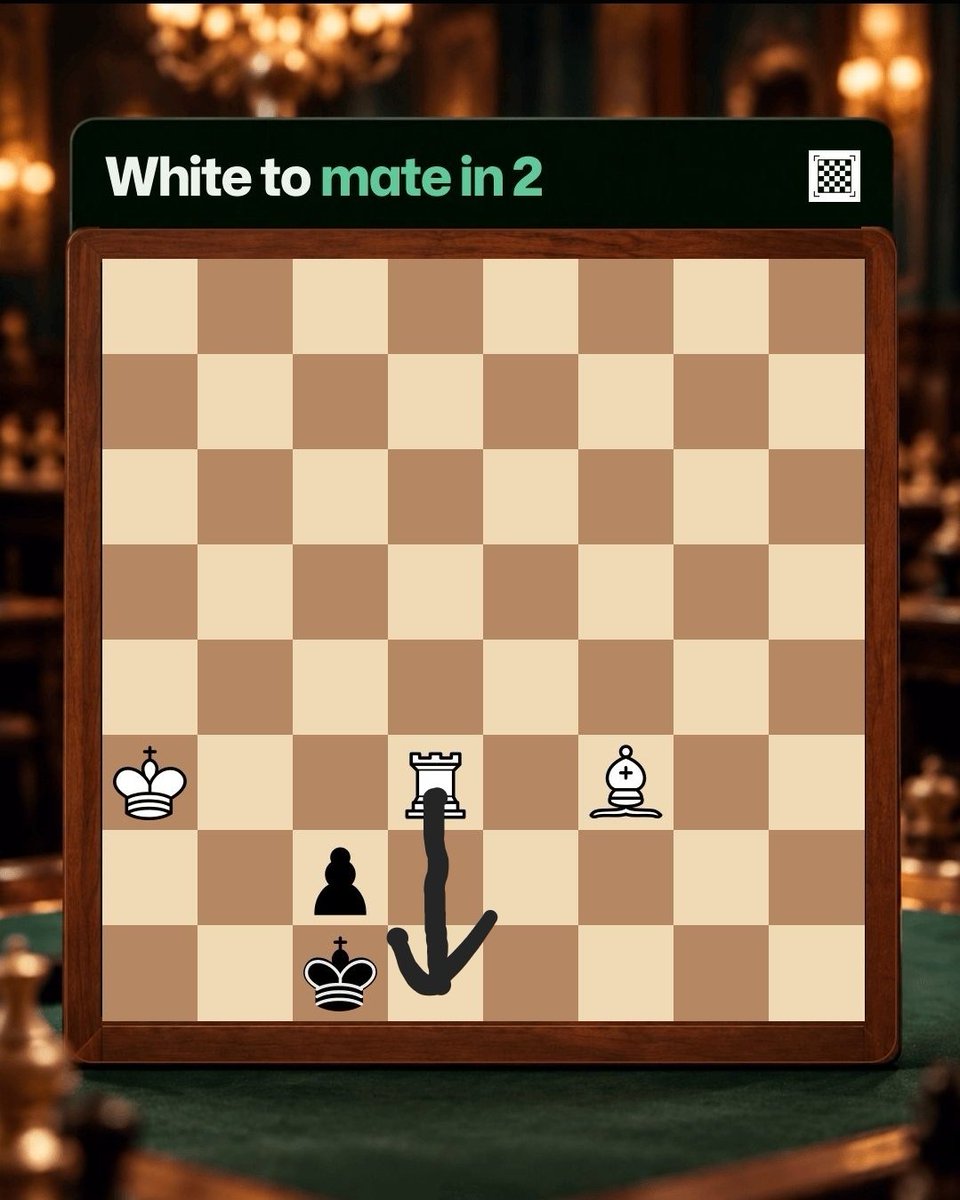 ICeli2354's tweet photo. @ChessifyMe Mate in 1... Yall suck ass at chess. https://t.co/ix52Bt7Sts