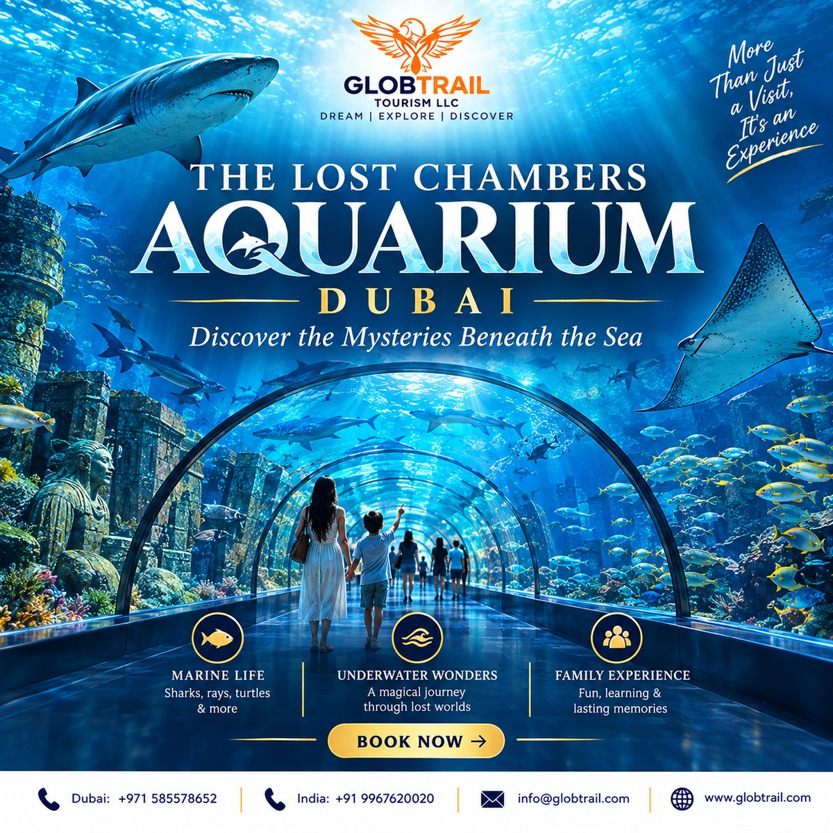 vane_0907's tweet photo. Discover the mysteries beneath the sea at The Lost Chambers Aquarium, Dubai. Explore underwater tunnels, sharks, rays, colourful fish and immersive marine experiences. Perfect for families and friends. Add it to your Dubai itinerary. https://t.co/Hnmt97uKhx
