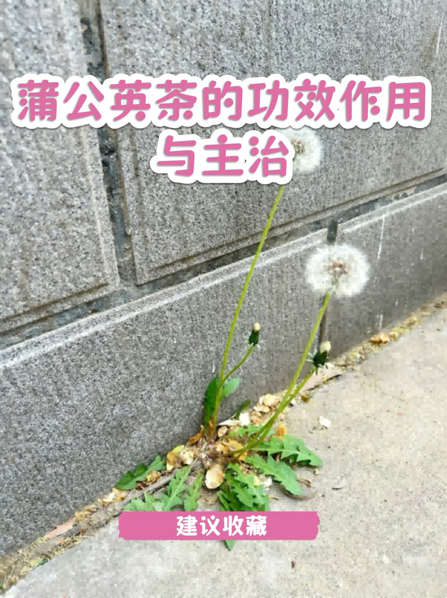 ulaland_04's tweet photo. [榔隙蓉] の新商品、木漏れ日の下で香る爽やかなハーブティー https://t.co/QFh7TdQGM6