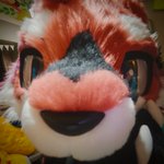 Photo by RanRan 藍藍 || 罗宋 || 青爪 🔜 獸無限Infurnity (@Randaeyote)