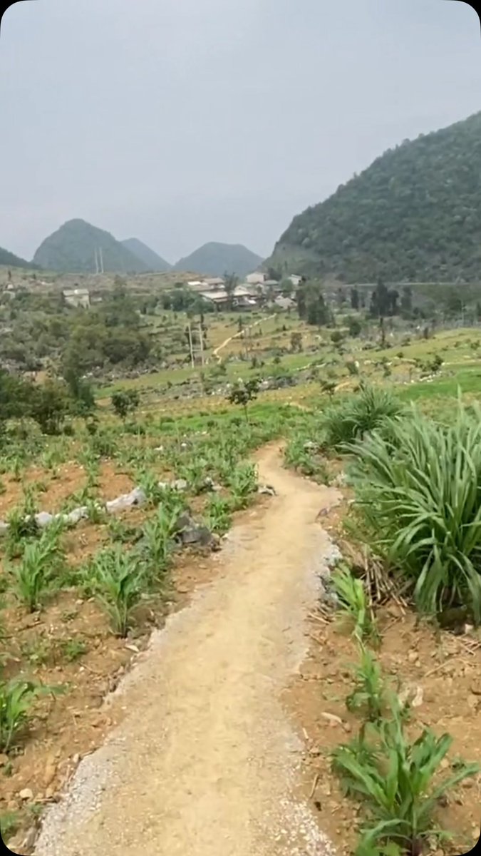 Deisyutsi's tweet photo. Ride through Northern Vietnam’s unspoiled villages by motorbike and discover breathtaking landscapes, local culture, and hidden roads. https://t.co/J9QuA3Ual2