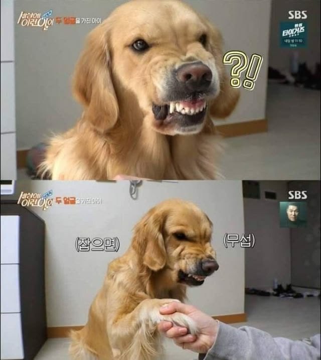 silulu___ tweet picture
