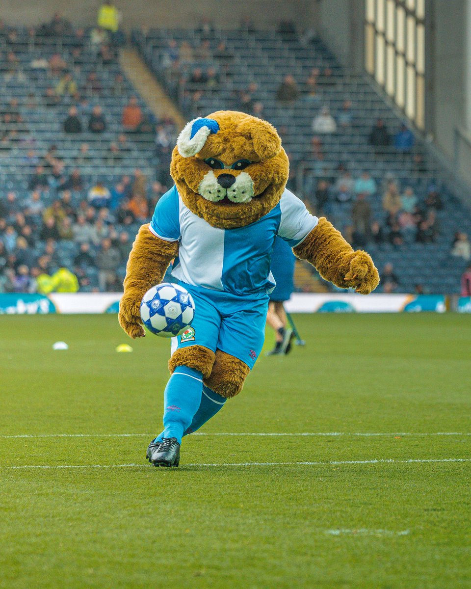 Rovers's tweet photo. 🥅 Want to take part in our half-time Crossbar Challenge on Saturday? 

🔗 Enter by 12pm tomorrow (Friday): https://t.co/YDjLDN7RX1

#Rovers 🔵⚪️ https://t.co/t75ZaQTo53