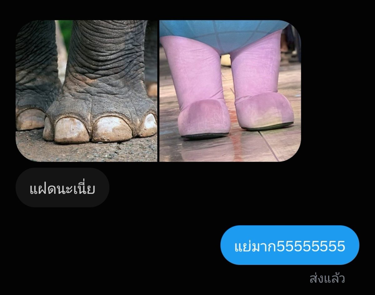 94Ployly's tweet photo. แย่มาก55555555555555555544444444444445555555555555444444555555555555555 https://t.co/nCE3BgSoNq