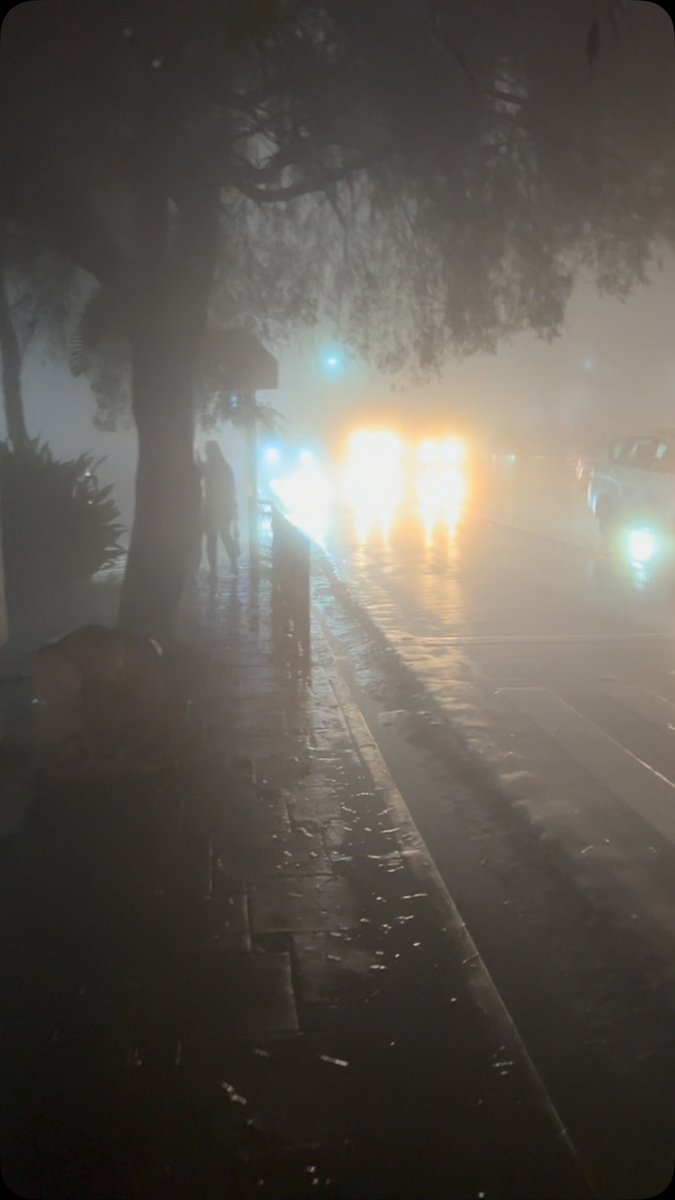 deliciiuz's tweet photo. Saturday night stroll sa foggy streets ng Baguio. Pagkatapos ng mahabang linggo, sarap maglakad nang walang iniisip—cold breeze, quiet streets, at simpleng ganda ng gabi. Minsan, sapat na ang huminga at mag-recharge. https://t.co/ZTBtvgwsNw