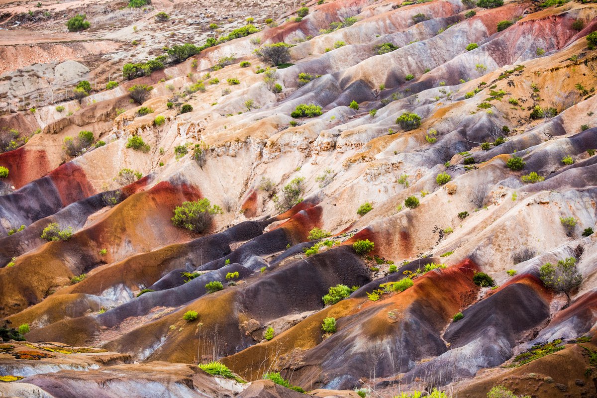 sthelenatourism's tweet photo. Landscapes painted by nature.

From rich volcanic rock to striking layers of colourful earth, St Helena’s landscapes reveal a palette shaped by the island’s origins. 🌋

#StHelena #StHelenaIsland #ABreathOffFreshAir #Nature #RemoteIsland https://t.co/Mhabt7wLgX