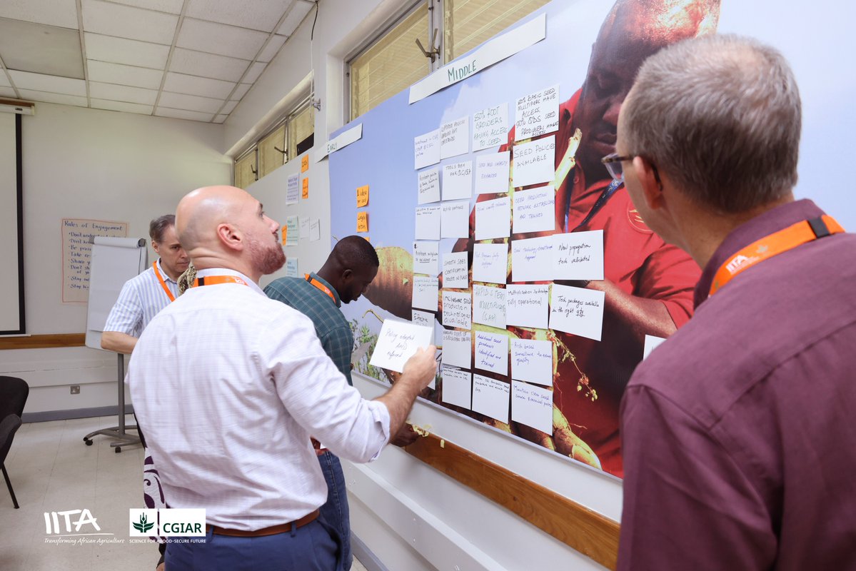 IITA_CGIAR's tweet photo. How can agricultural research boost farmer productivity? -1
#IITAPartnerships #AgriculturalInnovation #RoadmapToAdoption https://t.co/WDkKqTluYf