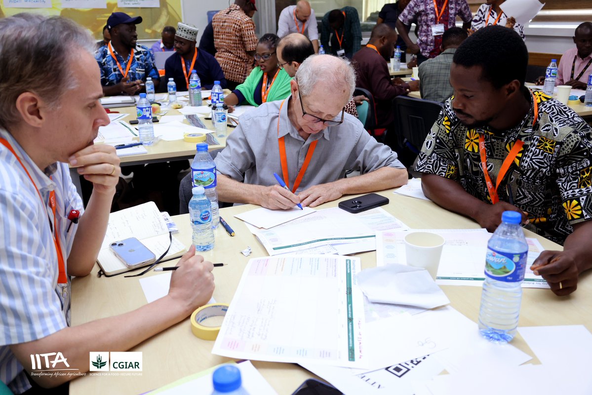 IITA_CGIAR's tweet photo. How can agricultural research boost farmer productivity? -1
#IITAPartnerships #AgriculturalInnovation #RoadmapToAdoption https://t.co/WDkKqTluYf