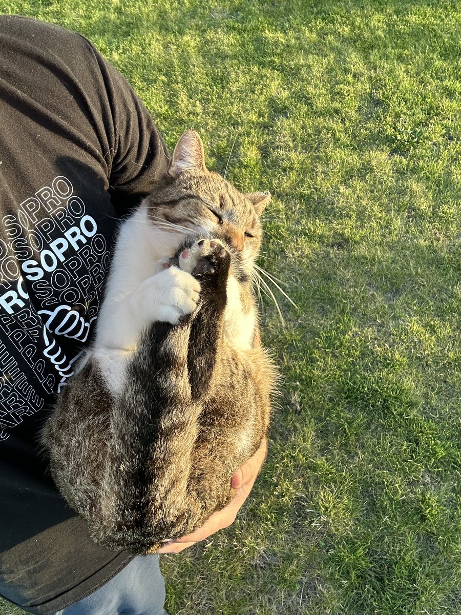 vkoobibff's tweet photo. moj chlopak zrobil Bobiemu jakies najslodsze zdjecia na swiecie patrzcie na niego ja nmg https://t.co/eZuM5EA3Mb
