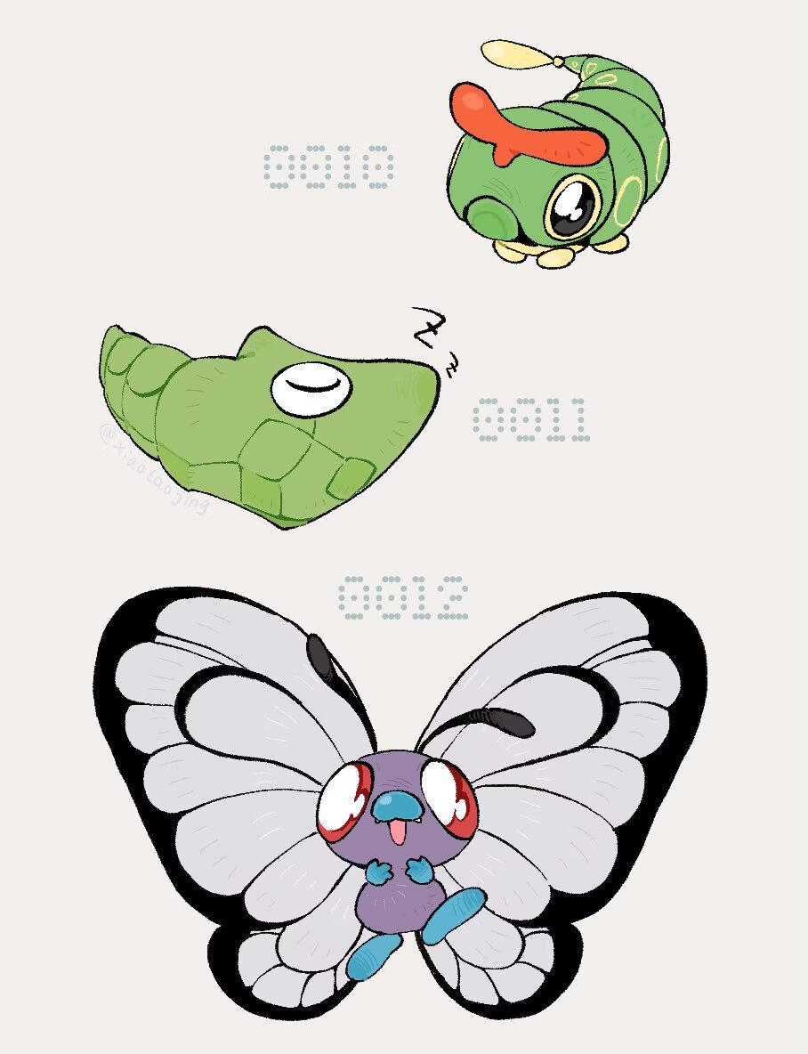 xiaolaojing's tweet photo. 🐛10/11/12🦋 https://t.co/m8PV3A8qoB