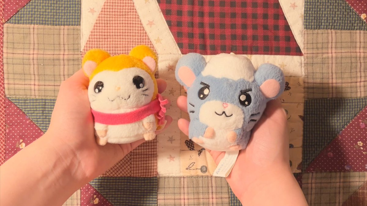 meryzianS2's tweet photo. 둘 중 어느 햄이 더 좋아? https://t.co/siWE4NGEQq