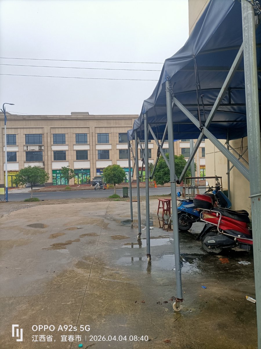 bt7t0s's tweet photo. この小道は雨上がりで、路面が少し潦んでいる。通りすがりの猫が障子の隙間を伺うようにこちらを見て、茶色の毛並みが風になびいている。 https://t.co/HIDRS4jDC3