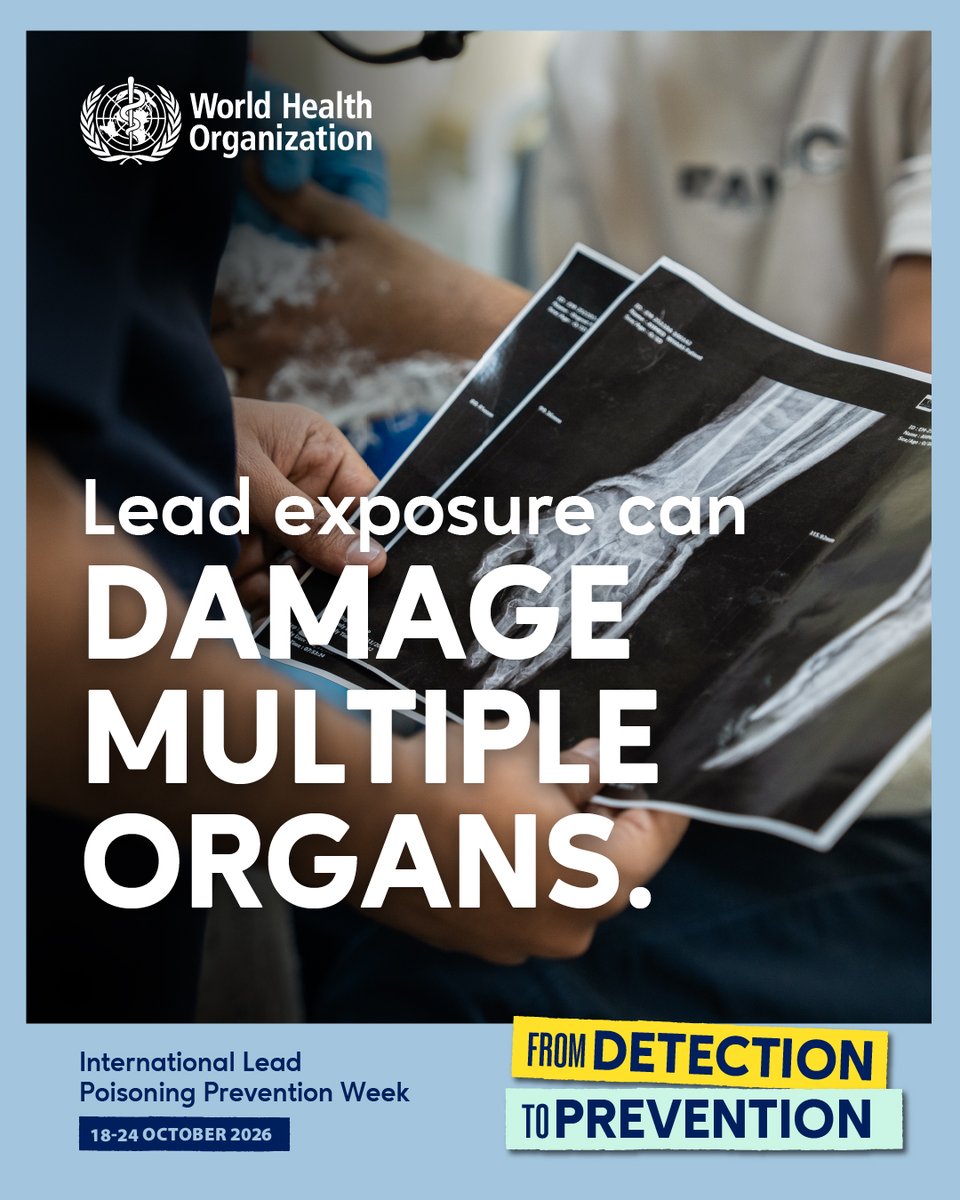 WHOSEARO's tweet photo. Lead can damage multiple organs, including the brain, kidneys, bones and blood. Children are especially vulnerable, and the harm can last a lifetime.

Detecting exposure early matters, but preventing it matters most.

#FromDetectionToPrevention #LeadPoisoningPreventionWeek https://t.co/Pro2Rf9ftM