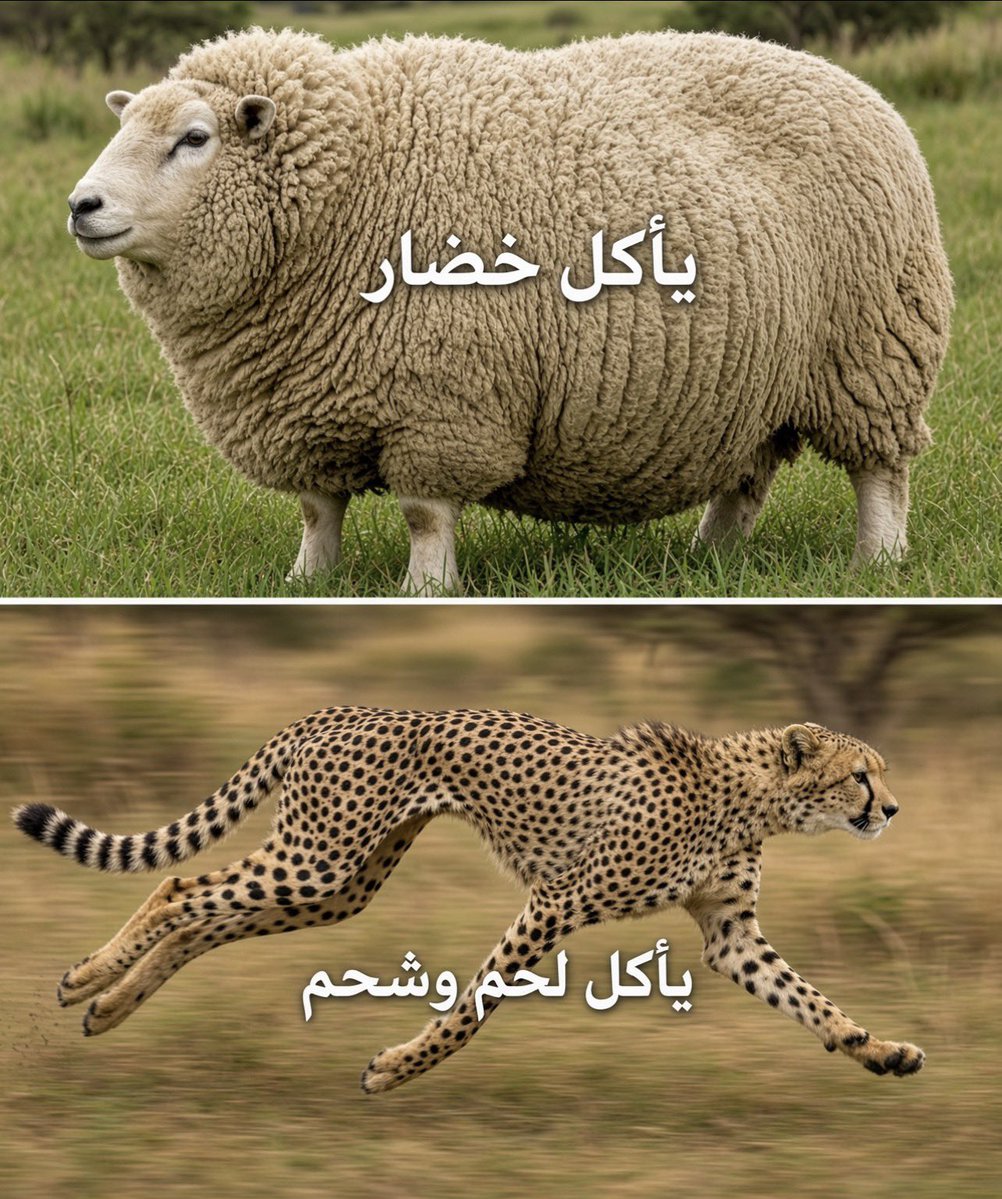 cn6c6's tweet photo. أقنعني 😂💔 https://t.co/TmC9JpgZgE
