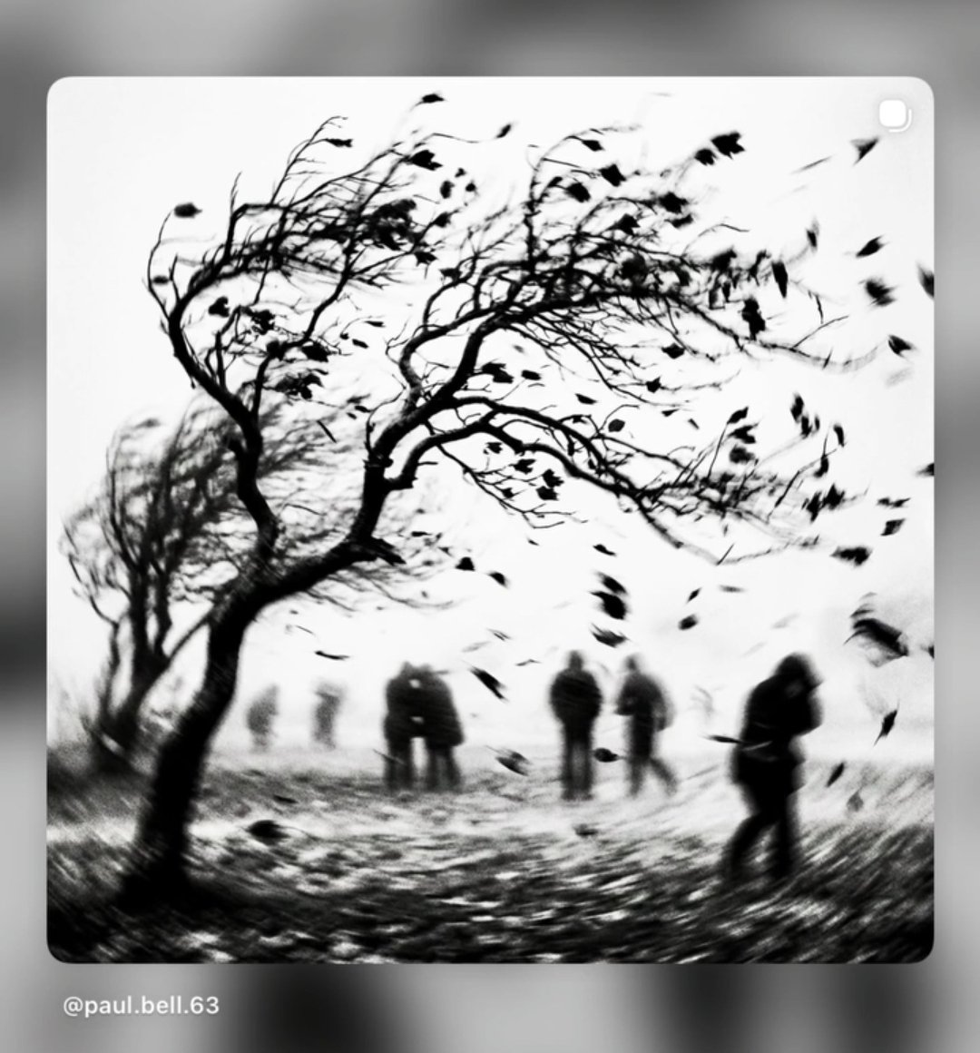 MarceloC61's tweet photo. Un viento helado recorre las almas de los hombres en la primavera de la vida.
Los árboles  bailan al compás de su silbido en un alocado de sus ramas.
Y nosotros volamos como hojas en la eterna búsqueda de la felicidad.

Buen@s días/tardes https://t.co/FHlNq1ZRYh