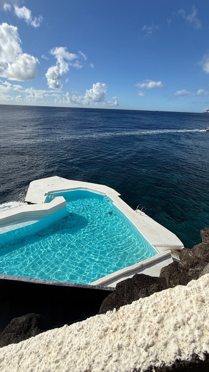 timothysykes's tweet photo. Goooooooooooooood morning, who’s ready to CRUSHHHHHH IT today?! Guess how many laps I’m about to swim in this beautiful pool with a view here in #madeira as I gotta get fitter to maximize the upcoming 23-hour trading day coming in December! It’s time to really push it — I WANT MORE MILLIONAIRE STUDENTS, WHO WANTS IT BAD ENOUGH?!